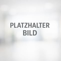 Ein PlatzhalterBild-1